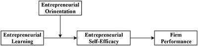 Entrepreneurial Learning, Self-Efficacy, and Firm Performance: Exploring Moderating Effect of Entrepreneurial Orientation